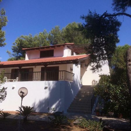 Seaside Villa In Alikes, Chalkida Дросия Екстериор снимка