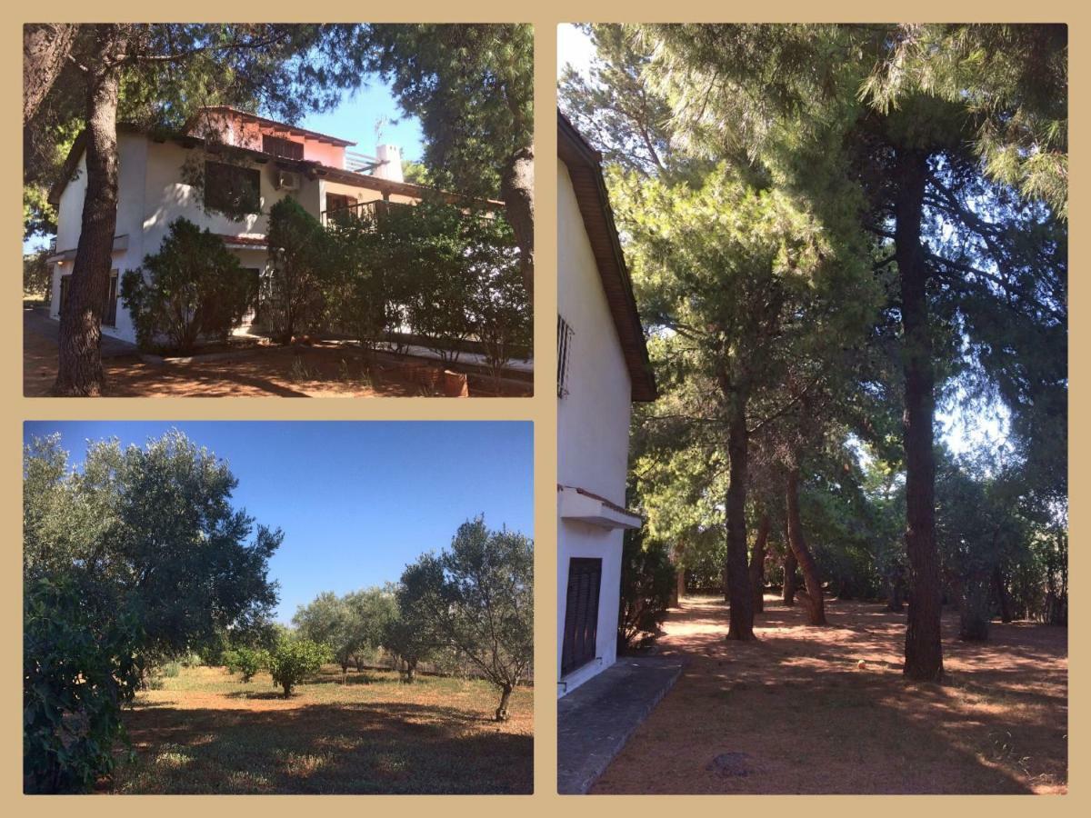 Seaside Villa In Alikes, Chalkida Дросия Екстериор снимка