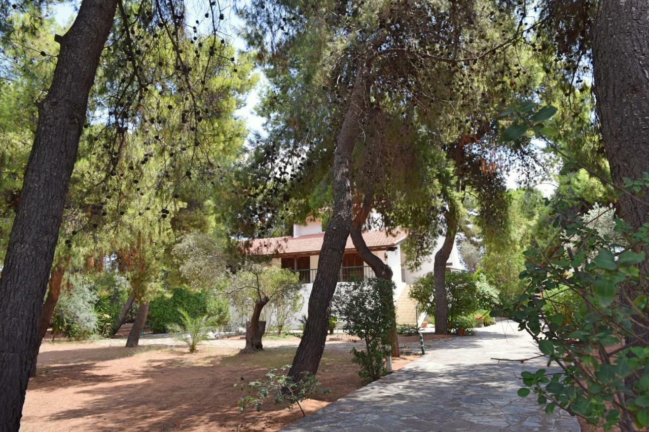 Seaside Villa In Alikes, Chalkida Дросия Екстериор снимка