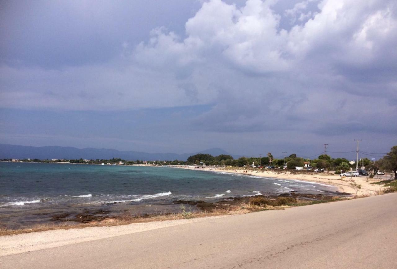 Seaside Villa In Alikes, Chalkida Дросия Екстериор снимка