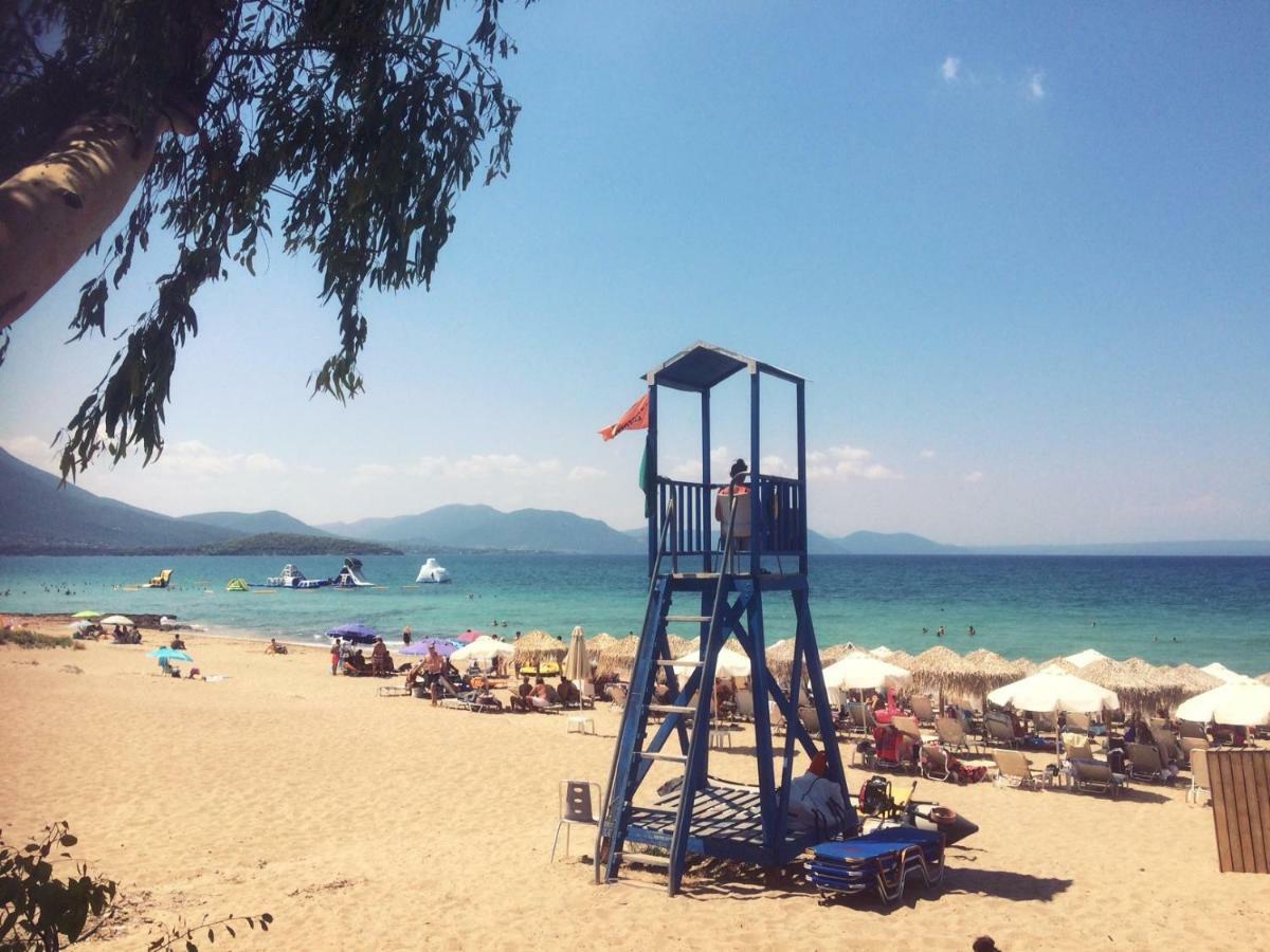Seaside Villa In Alikes, Chalkida Дросия Екстериор снимка